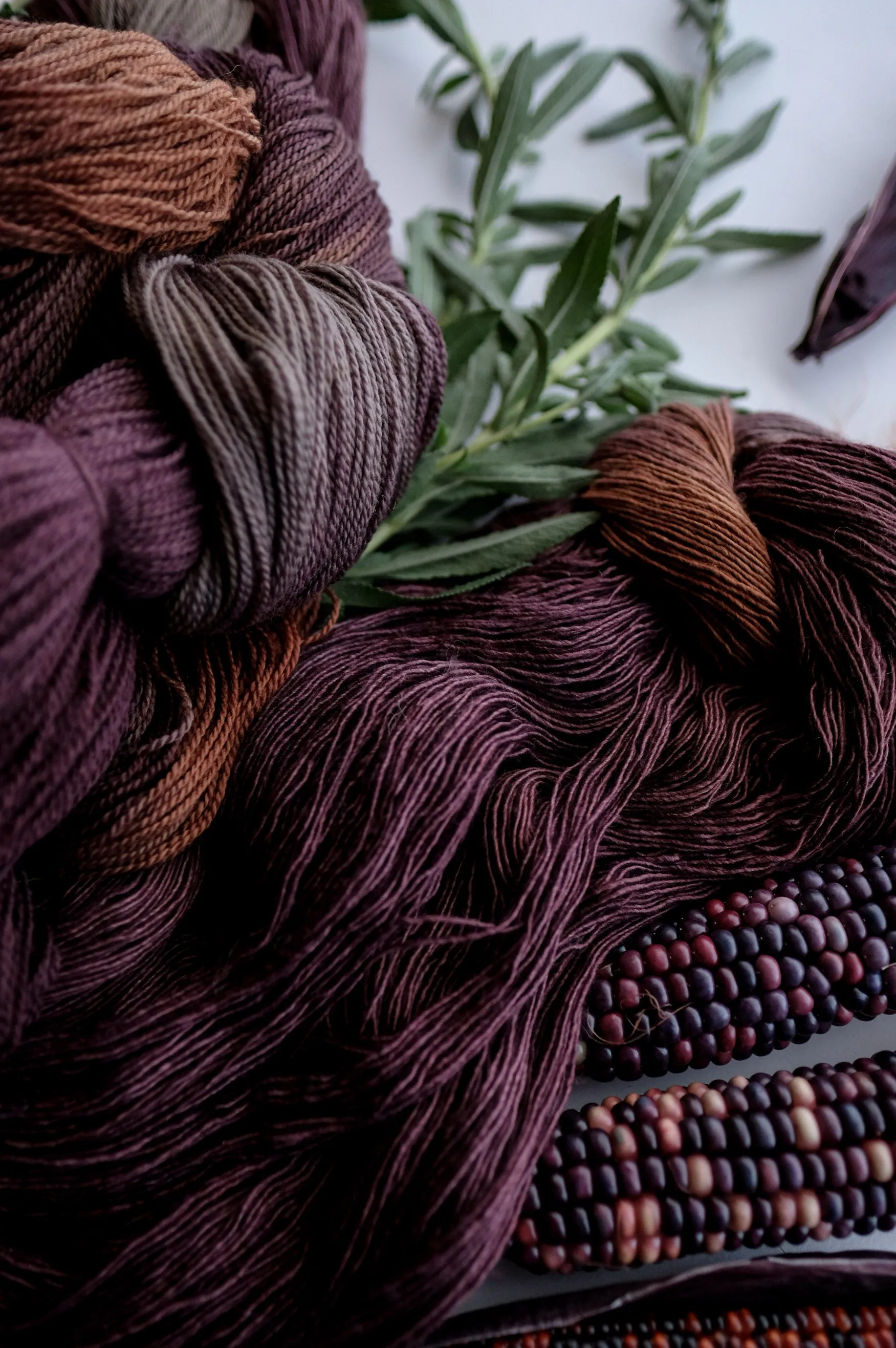 2024 Verb Anniversary Color: Abundant Harvest, Deepening Shadows - DYE-TO-ORDER