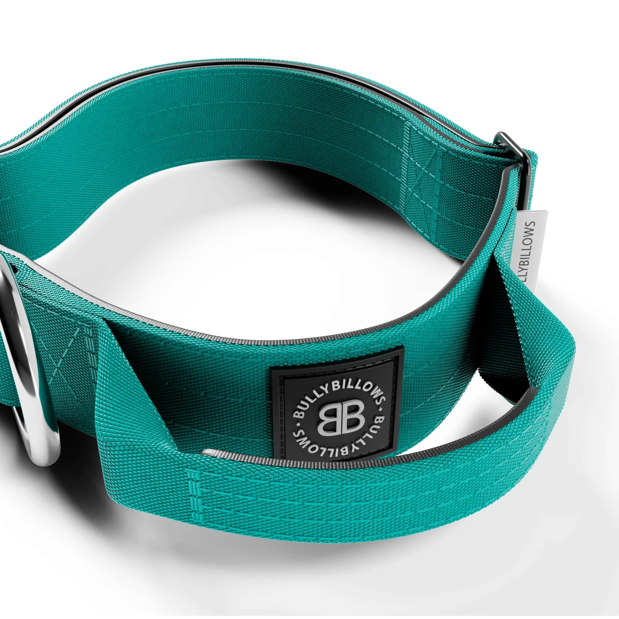 4cm Combat® Collar | Handle & Rated Clip - Turquoise