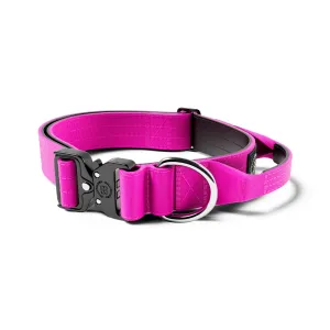 4cm Combat® Collar | With Handle & Rated Clip - Magenta