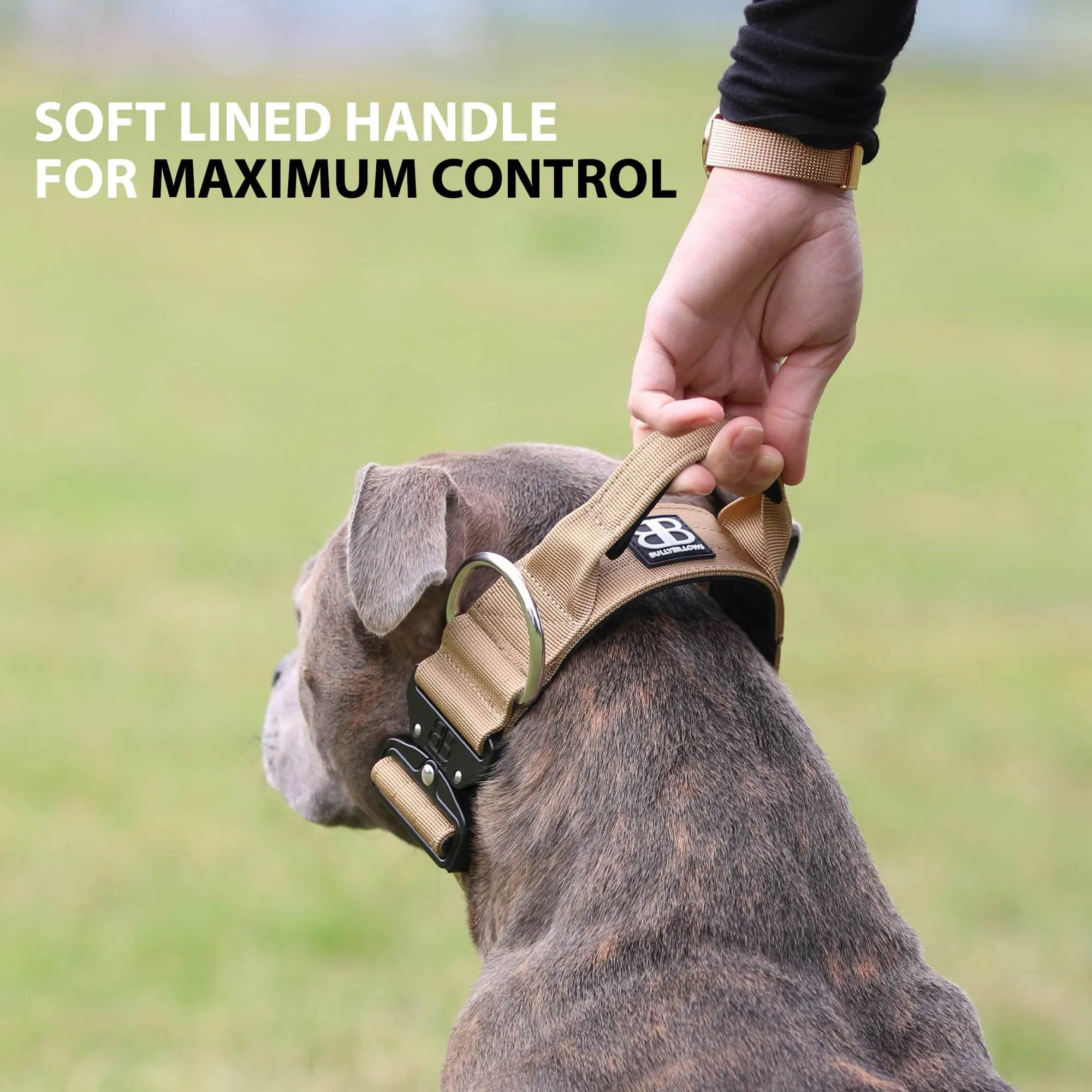 5cm Combat® Collar | With Handle & Secure Clip - Tan