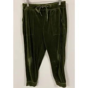 Anthropologie Saturday Sunday Velvet Joggers - Size Small