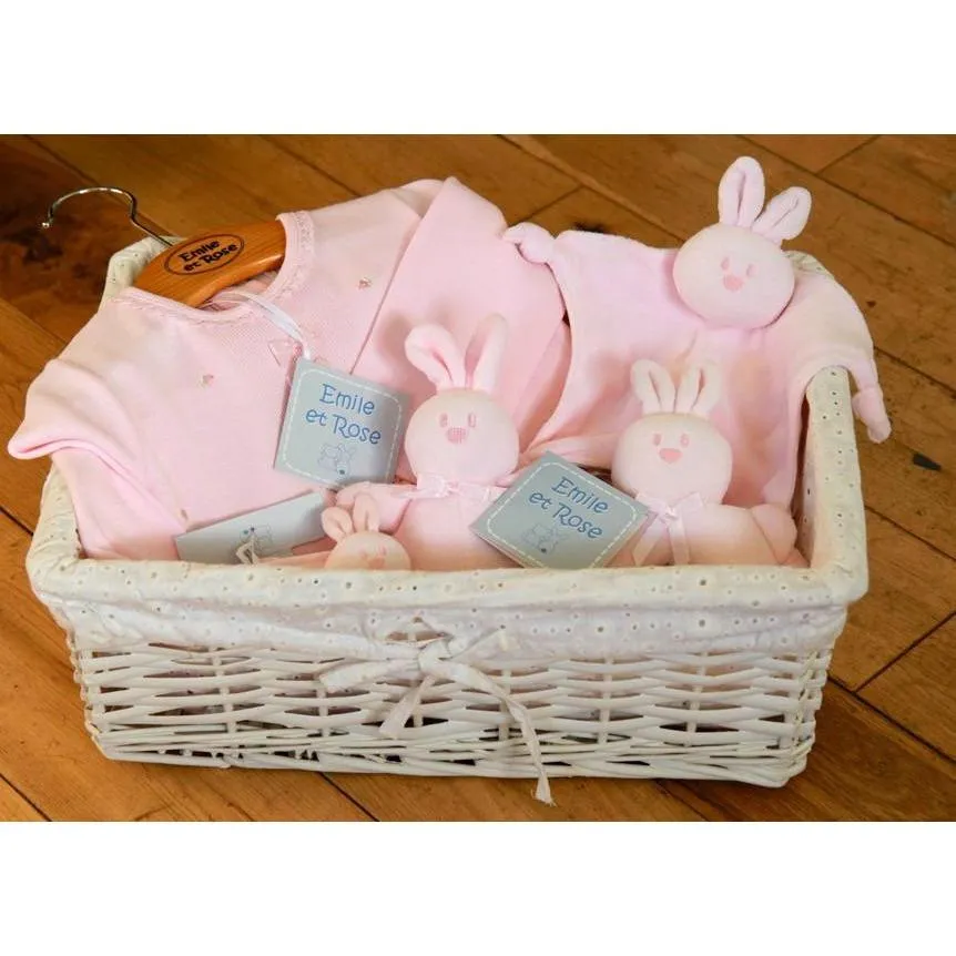 Baby Girl Luxury Gift Basket