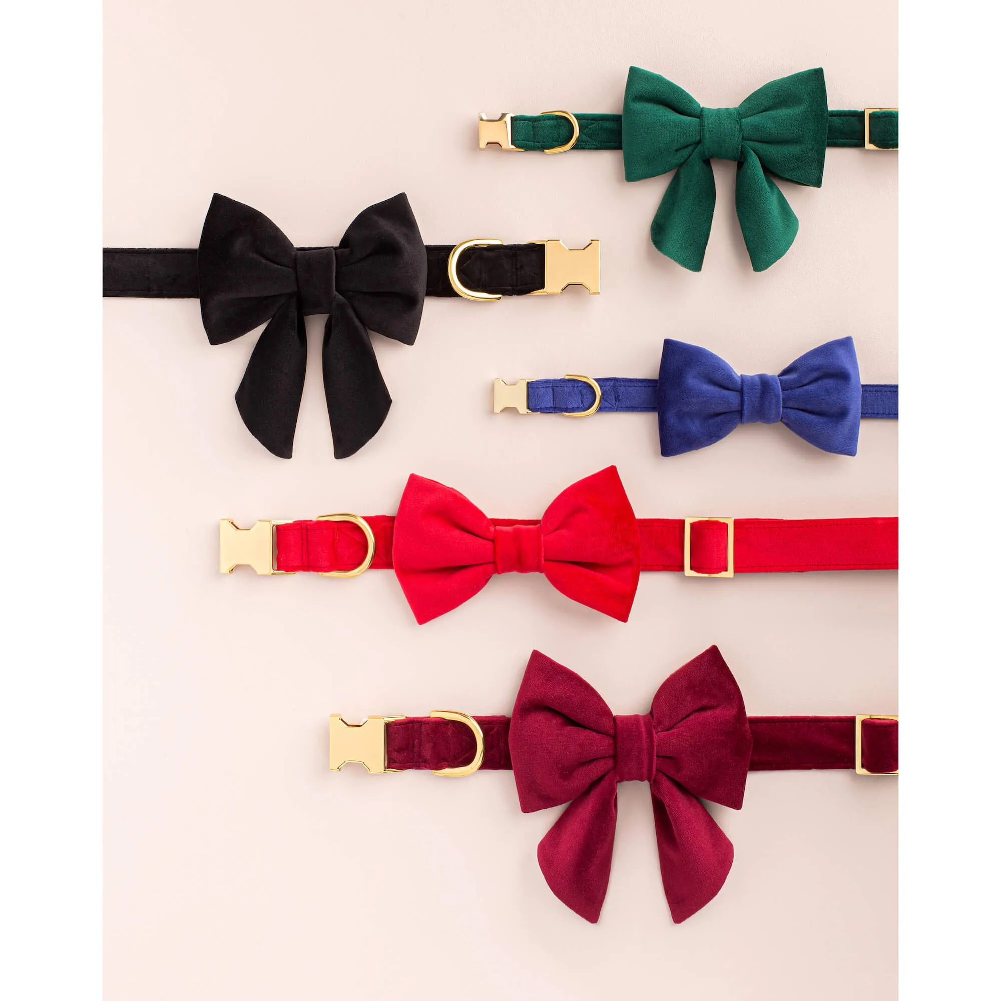 Black Velvet Lady Bow Collar