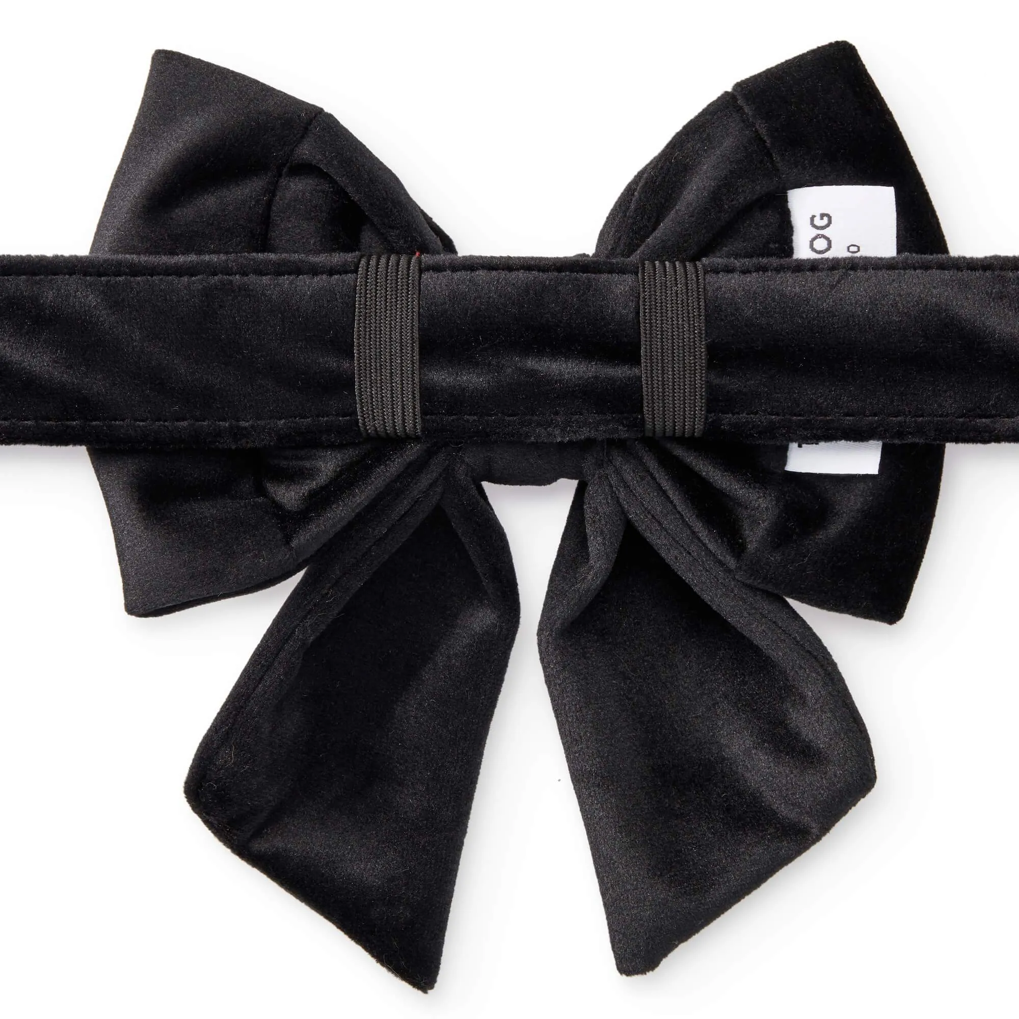 Black Velvet Lady Bow Collar