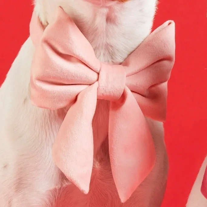 Blush Pink Velvet Lady Dog Bow