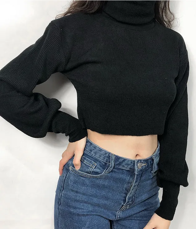 Chunky Knit Cropped Sweater