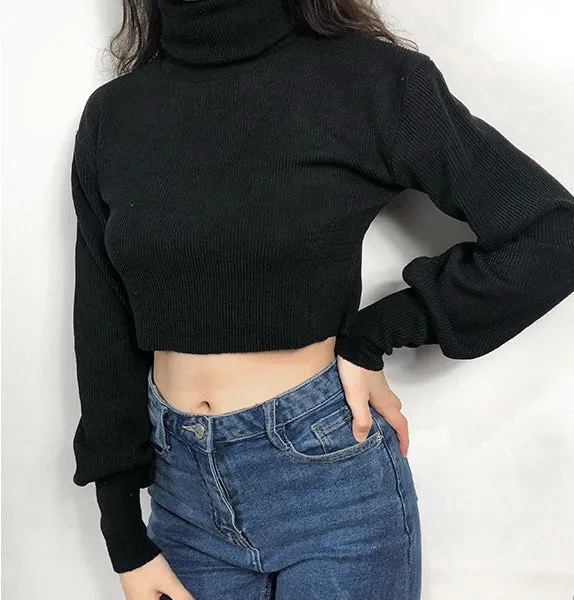 Chunky Knit Cropped Sweater