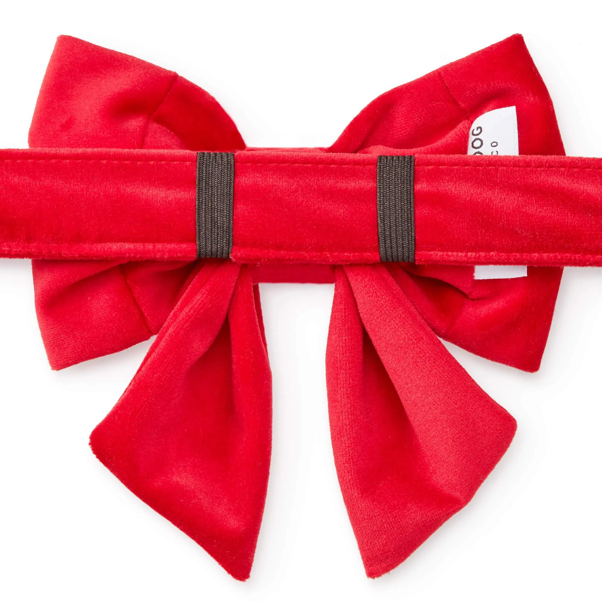 Cranberry Velvet Lady Dog Bow