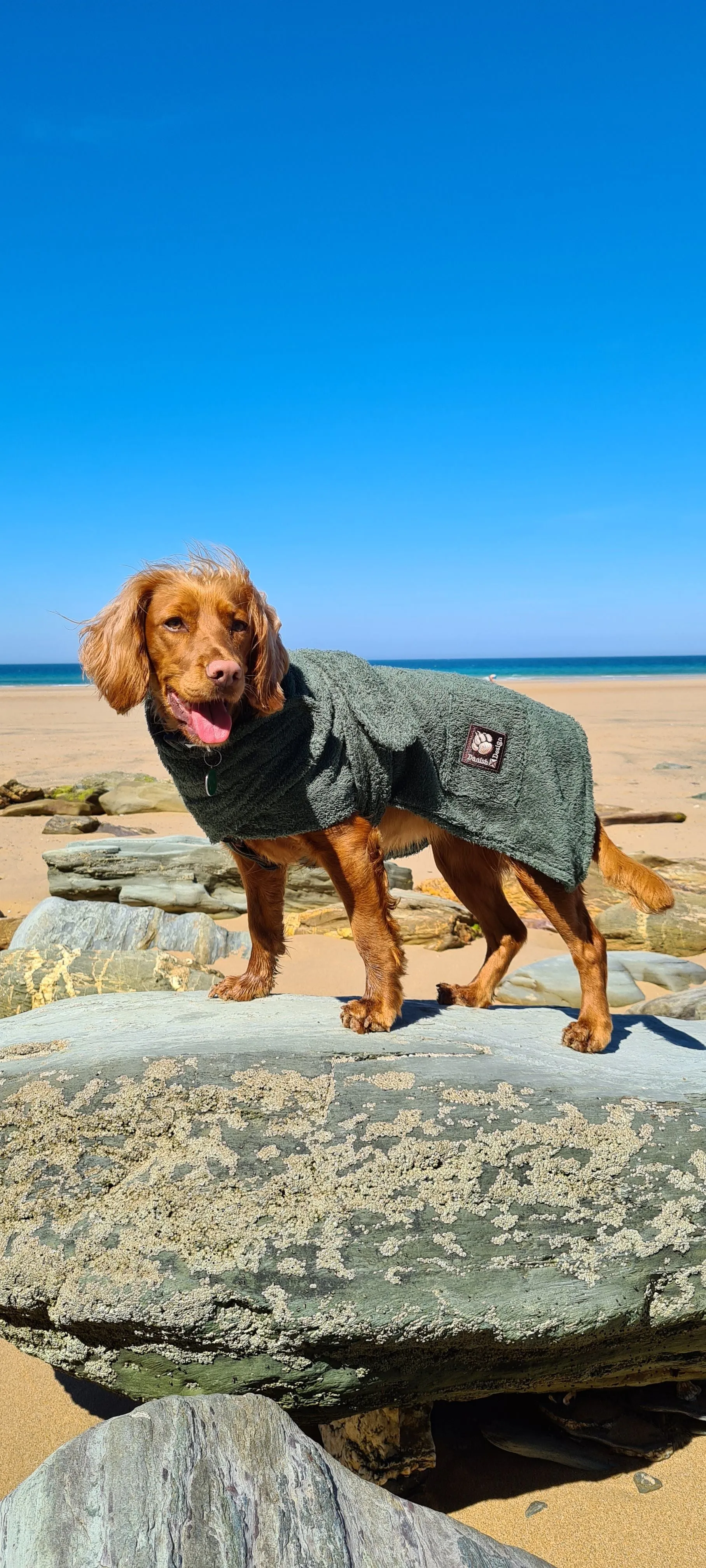 Danish Design Dog Robe Towel