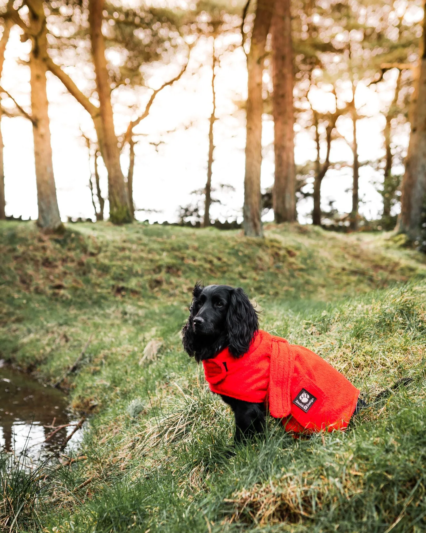 Danish Design Dog Robe Towel