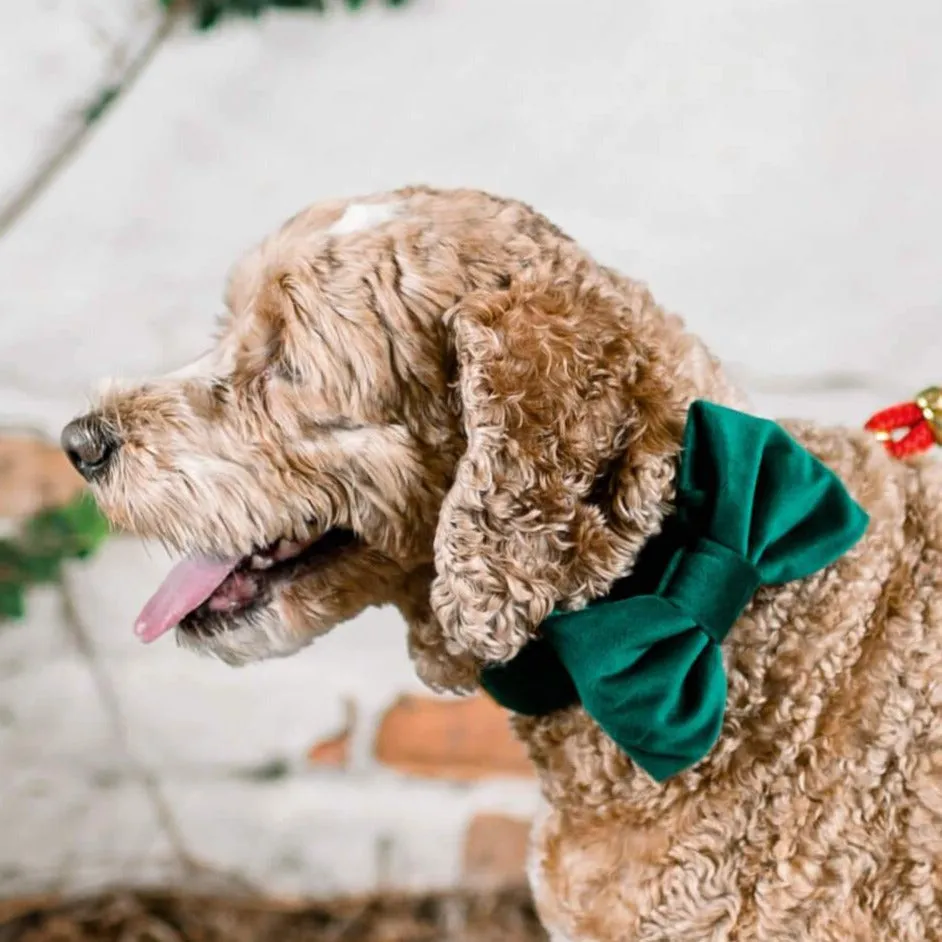 Forest Green Velvet Dog Bow Tie