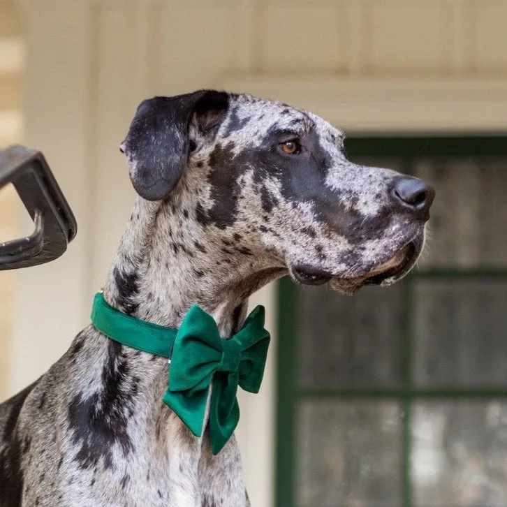 Forest Green Velvet Lady Bow Collar