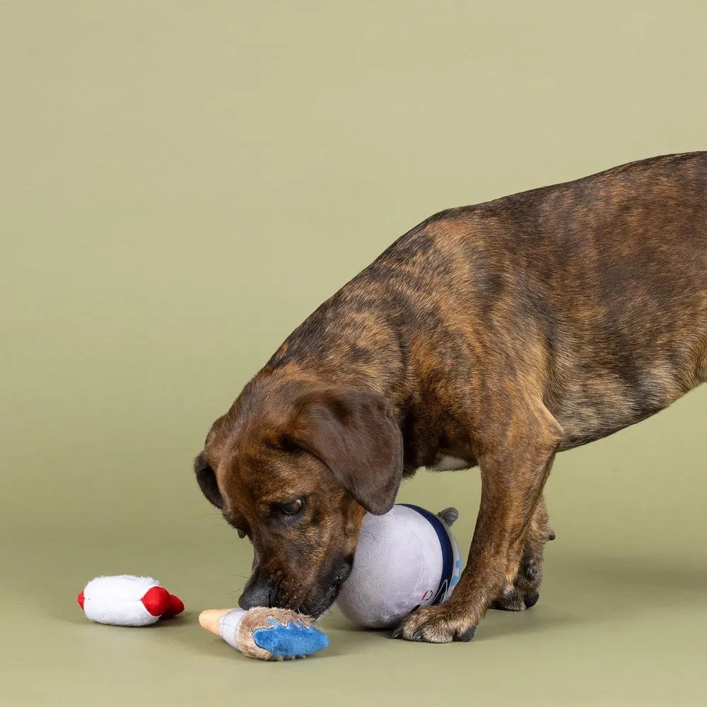 Fresh Coat Of Fun  Dog Plush Toy