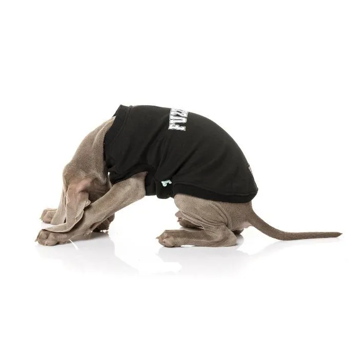 FuzzYard | College Sweater - Dog Jumper Black