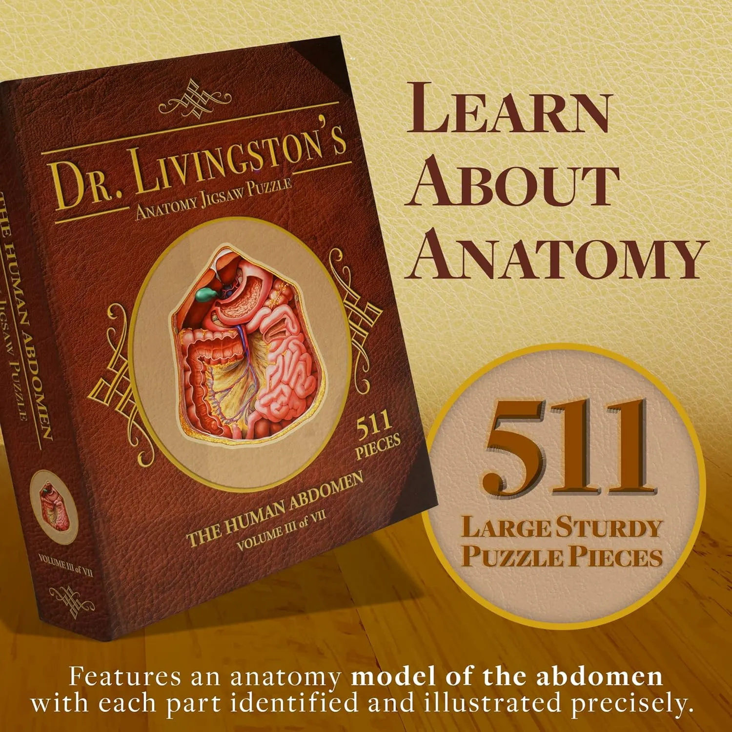 Human Abdomen Anatomy Jigsaw Puzzle | Dr Livingston's Unique Shaped Science Puzzles, Accurate Medical Illustrations of the Body, Organs, Stomach, Liver and Intestines