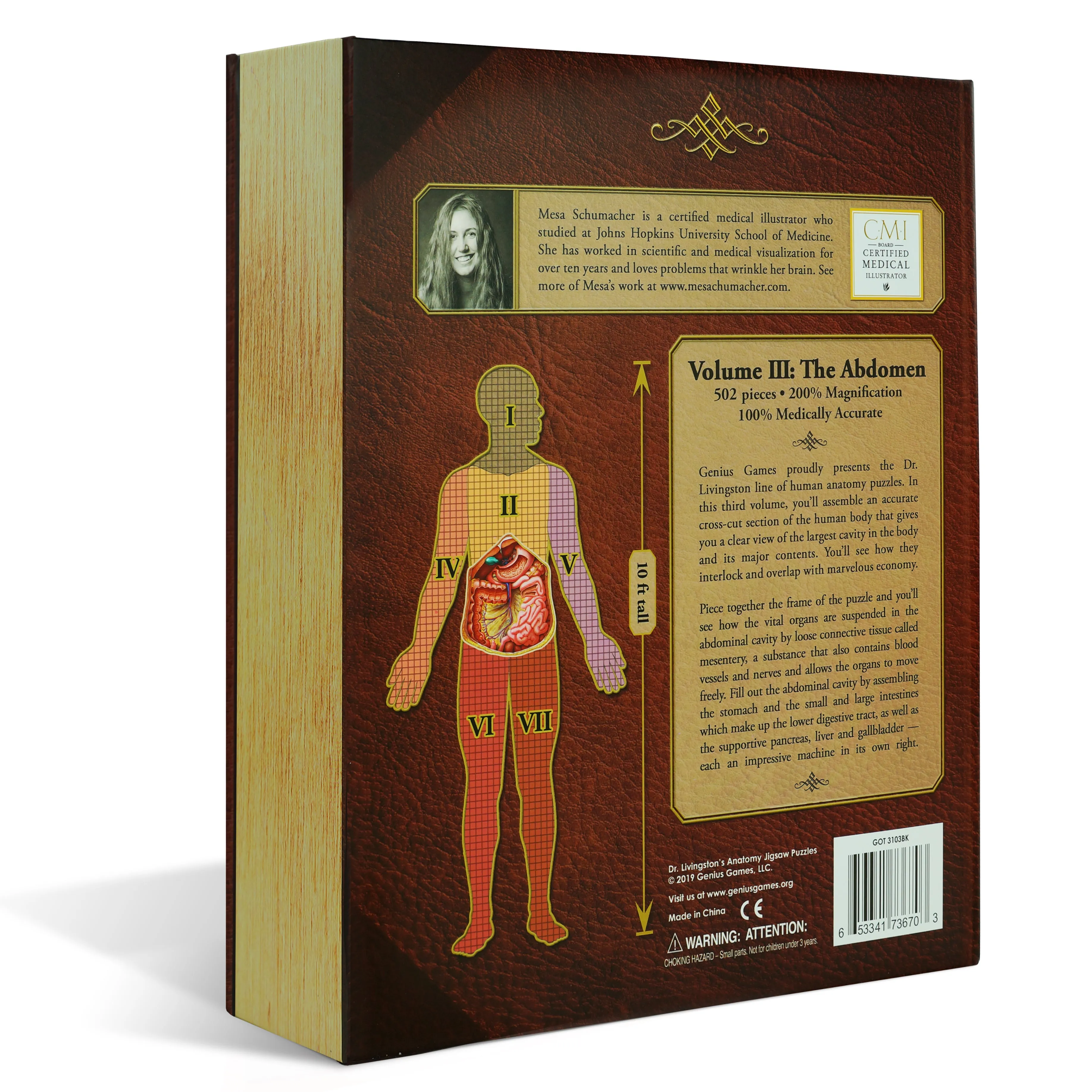 Human Abdomen Anatomy Jigsaw Puzzle | Dr Livingston's Unique Shaped Science Puzzles, Accurate Medical Illustrations of the Body, Organs, Stomach, Liver and Intestines