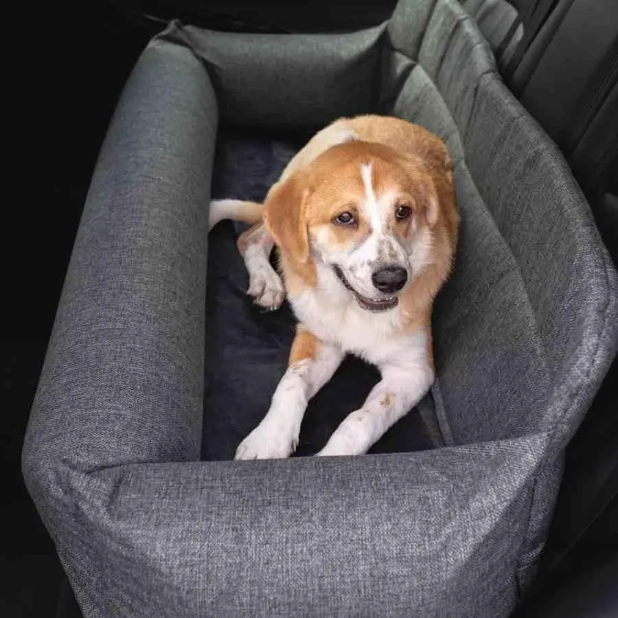 Julibee's Plush Luxury Dog Car Seat | Grey