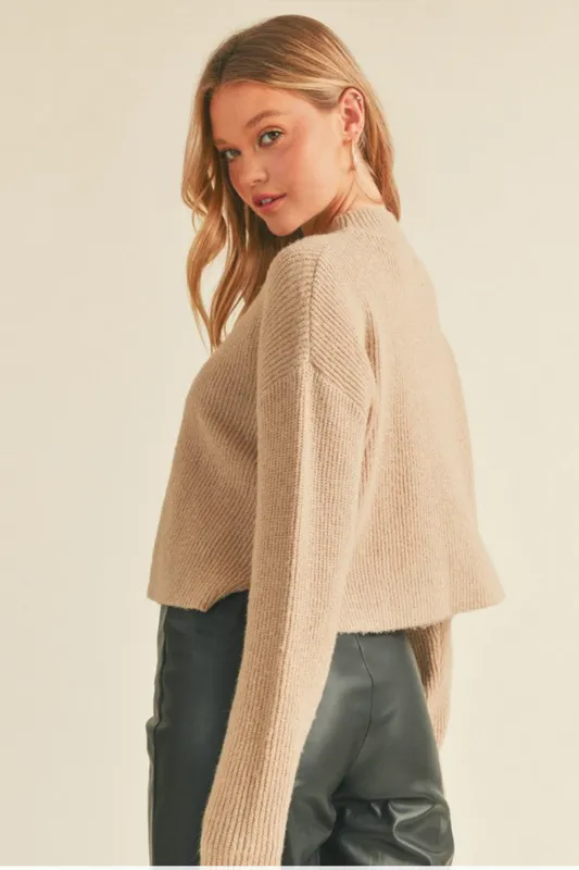 Knit Long Sleeve Crop Mock Neck Sweater