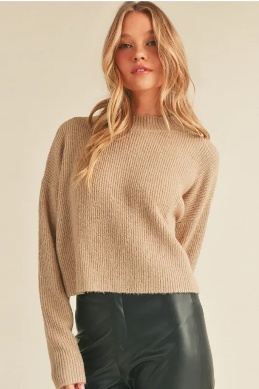 Knit Long Sleeve Crop Mock Neck Sweater