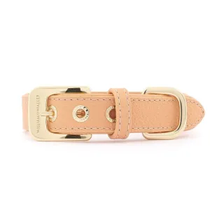 Leather Dog Collar by William Walker | Nappa | Orange