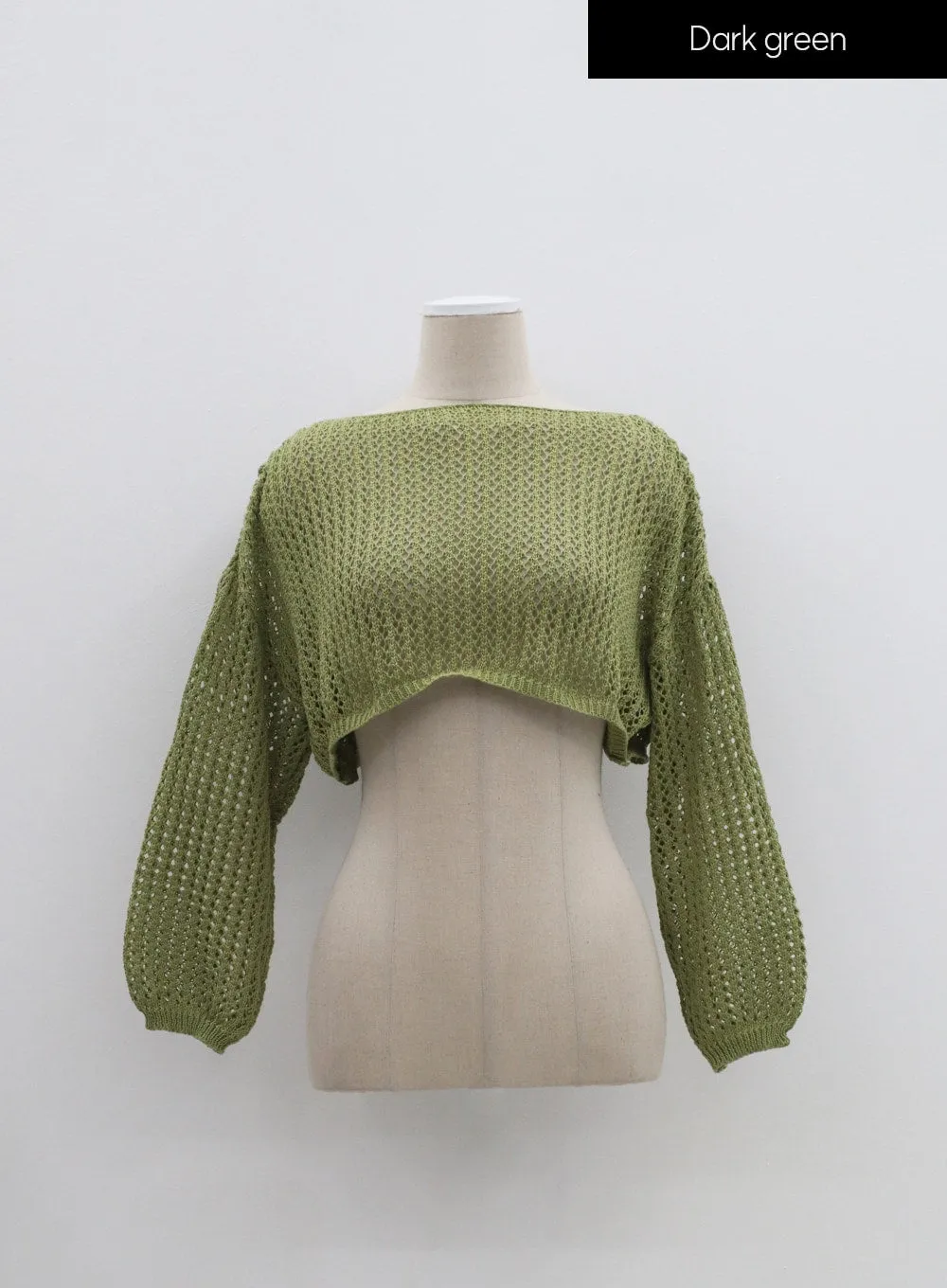 Mesh Cropped Sweater IM302