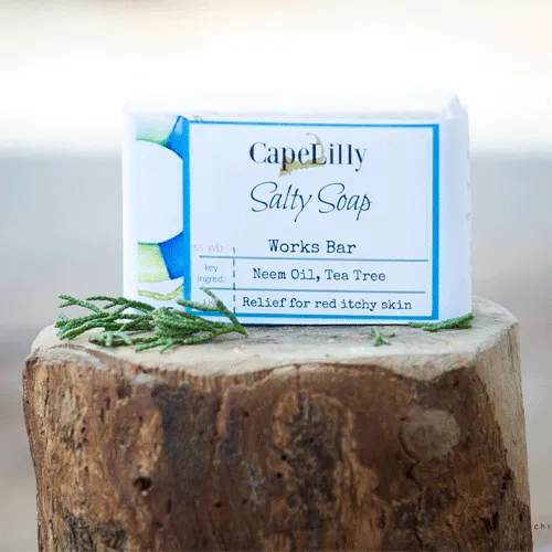 Neem and Tea Tree Oil sea salt soap bar, the Works bar