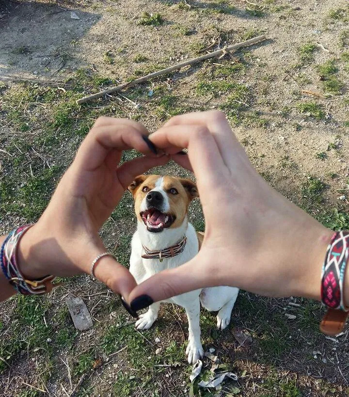 "Boho" Collar & Bracelet