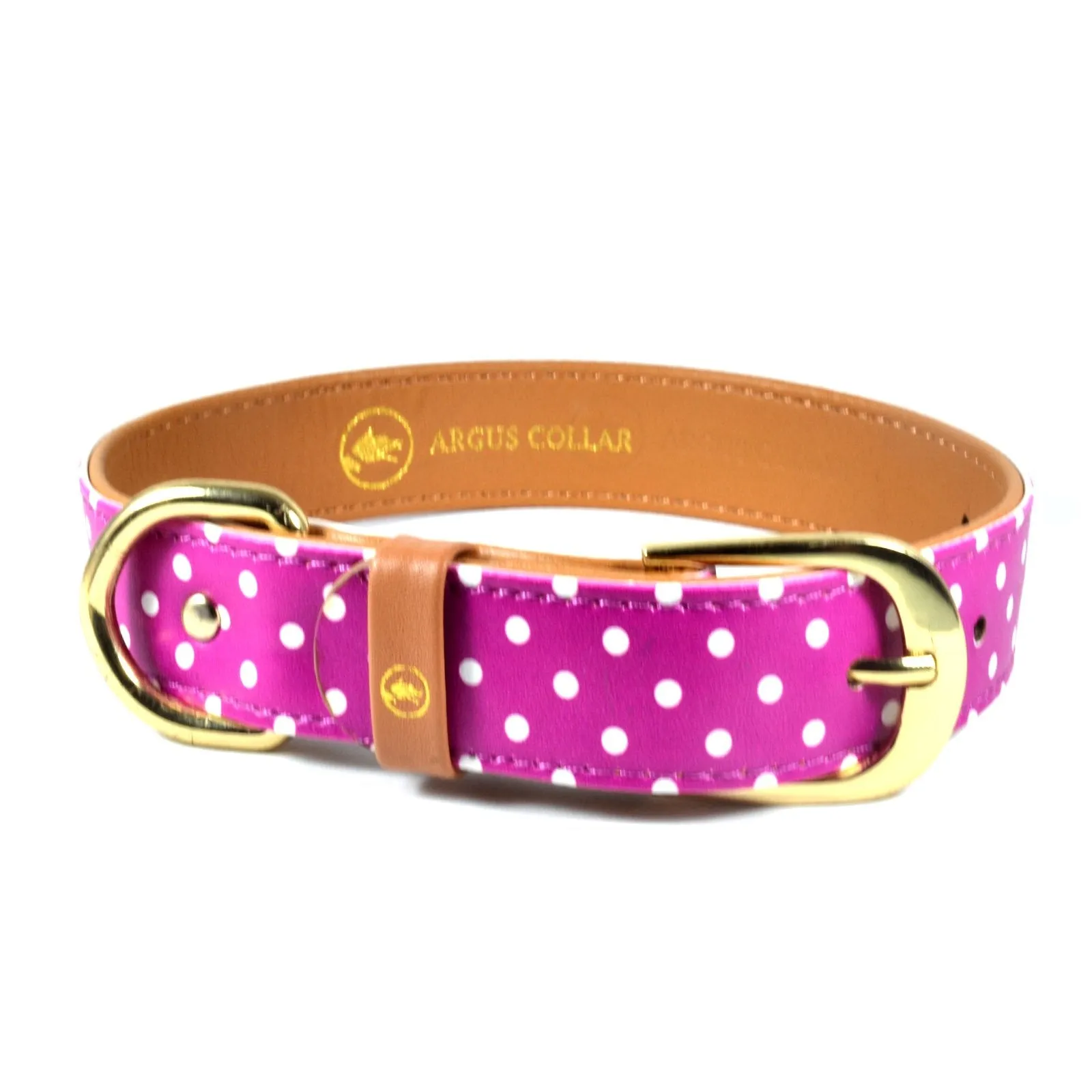 "Pinky Dot" Collar