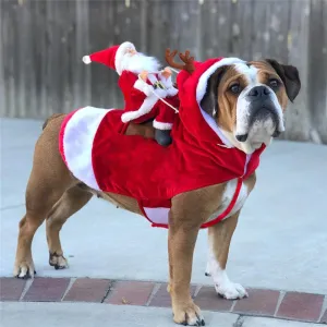 Santa's Sled Costume