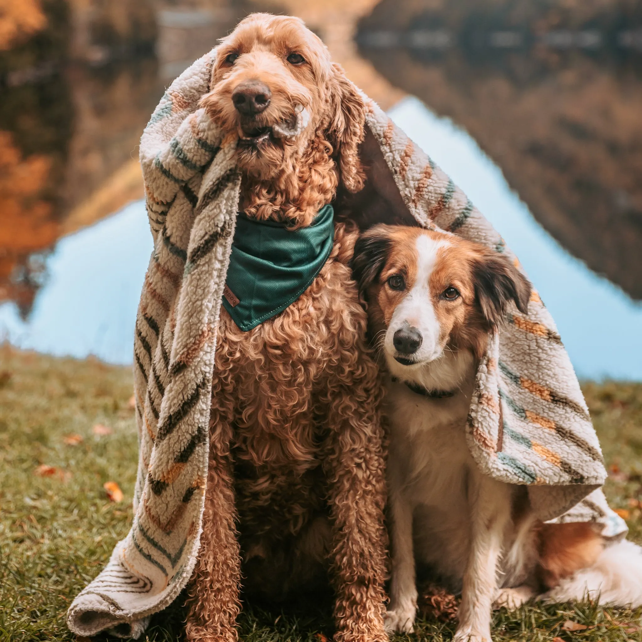 Sherpa Fleece Waterproof Blanket