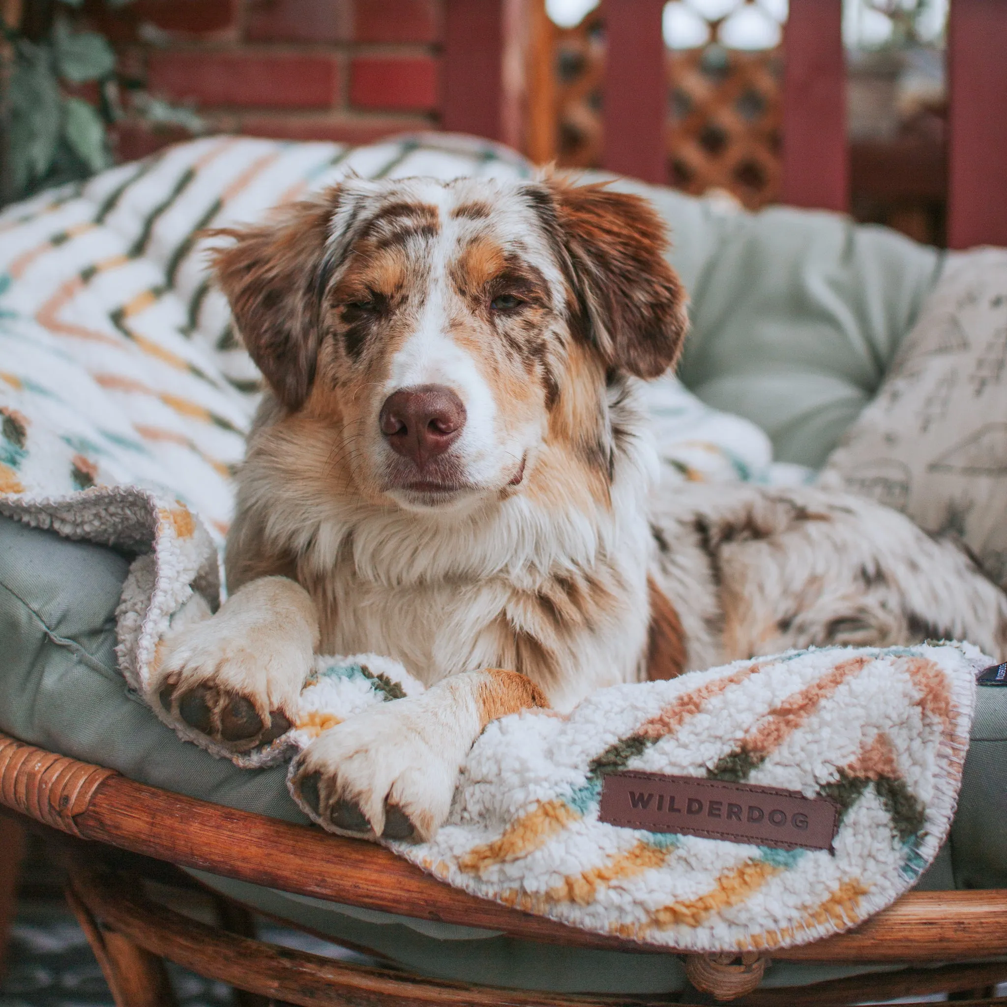 Sherpa Fleece Waterproof Blanket