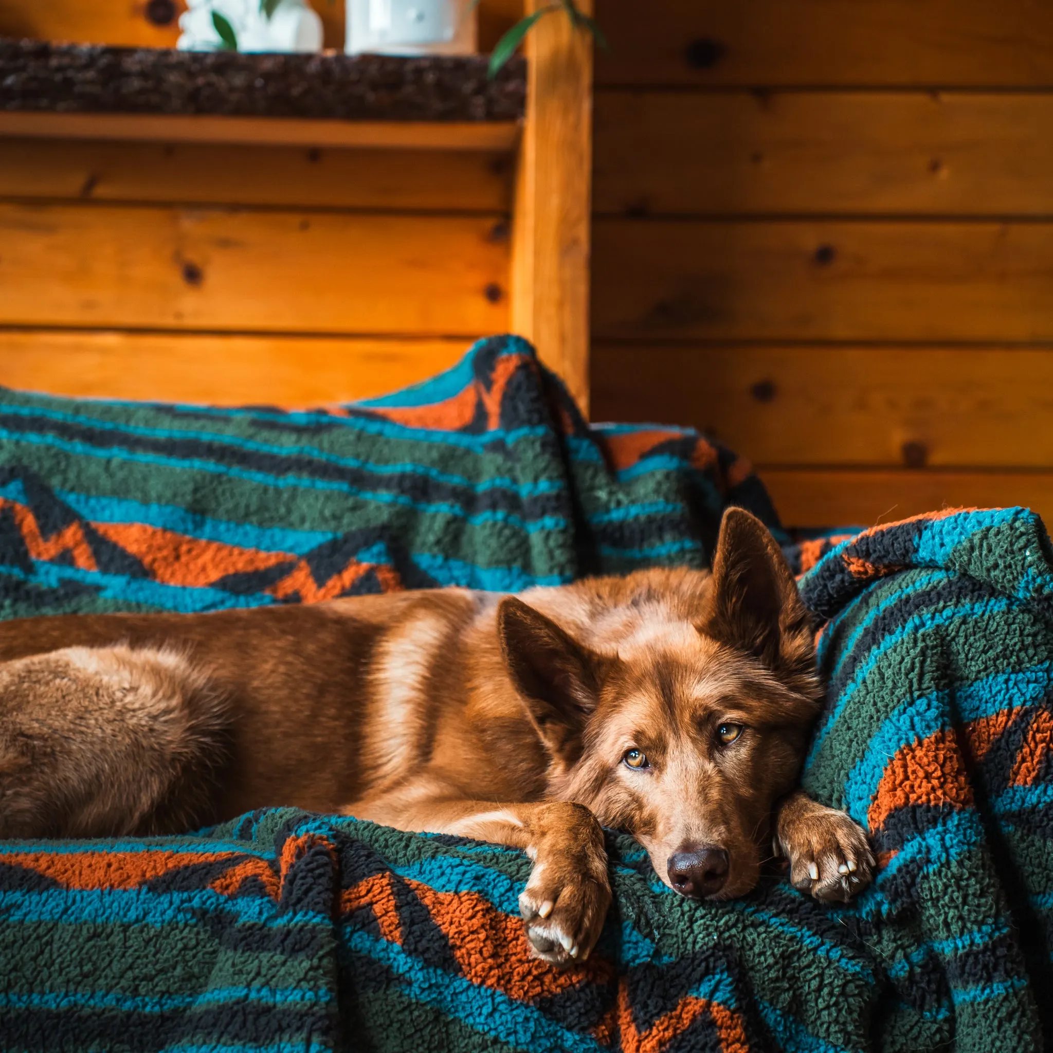 Sherpa Fleece Waterproof Blanket