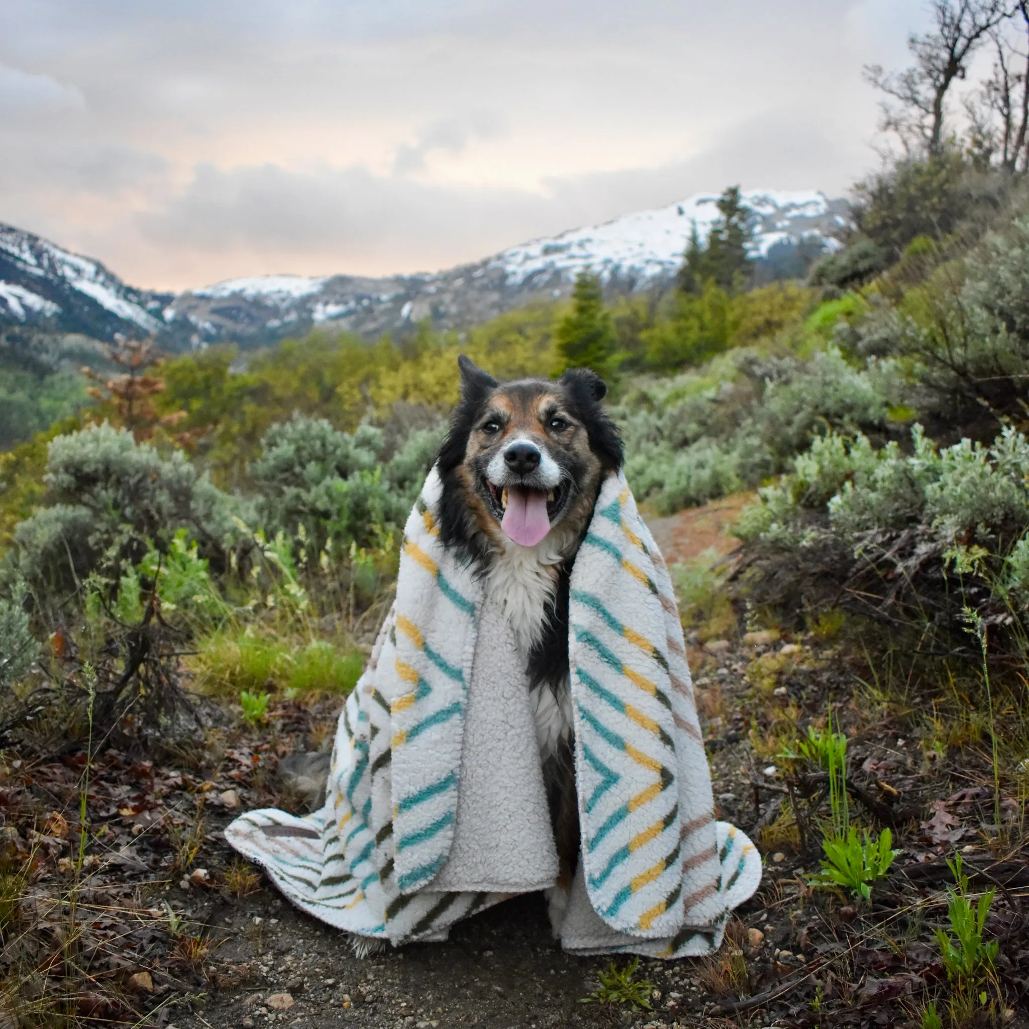 Sherpa Fleece Waterproof Blanket