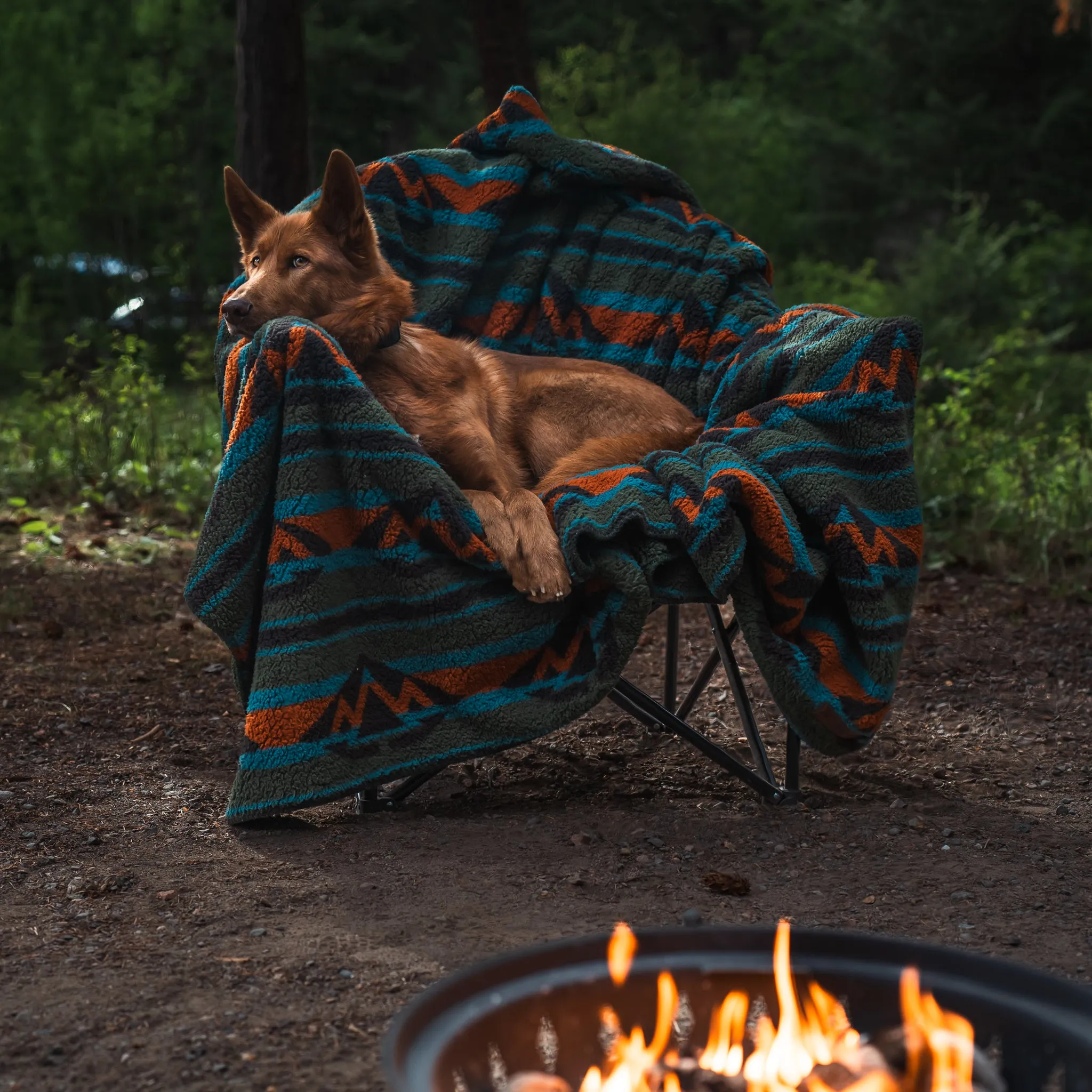 Sherpa Fleece Waterproof Blanket