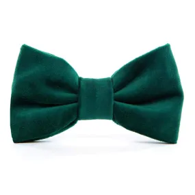 The Foggy Dog Velvet Bowtie Forest Green