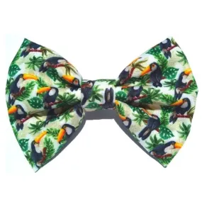 Toucan Birds Bowtie